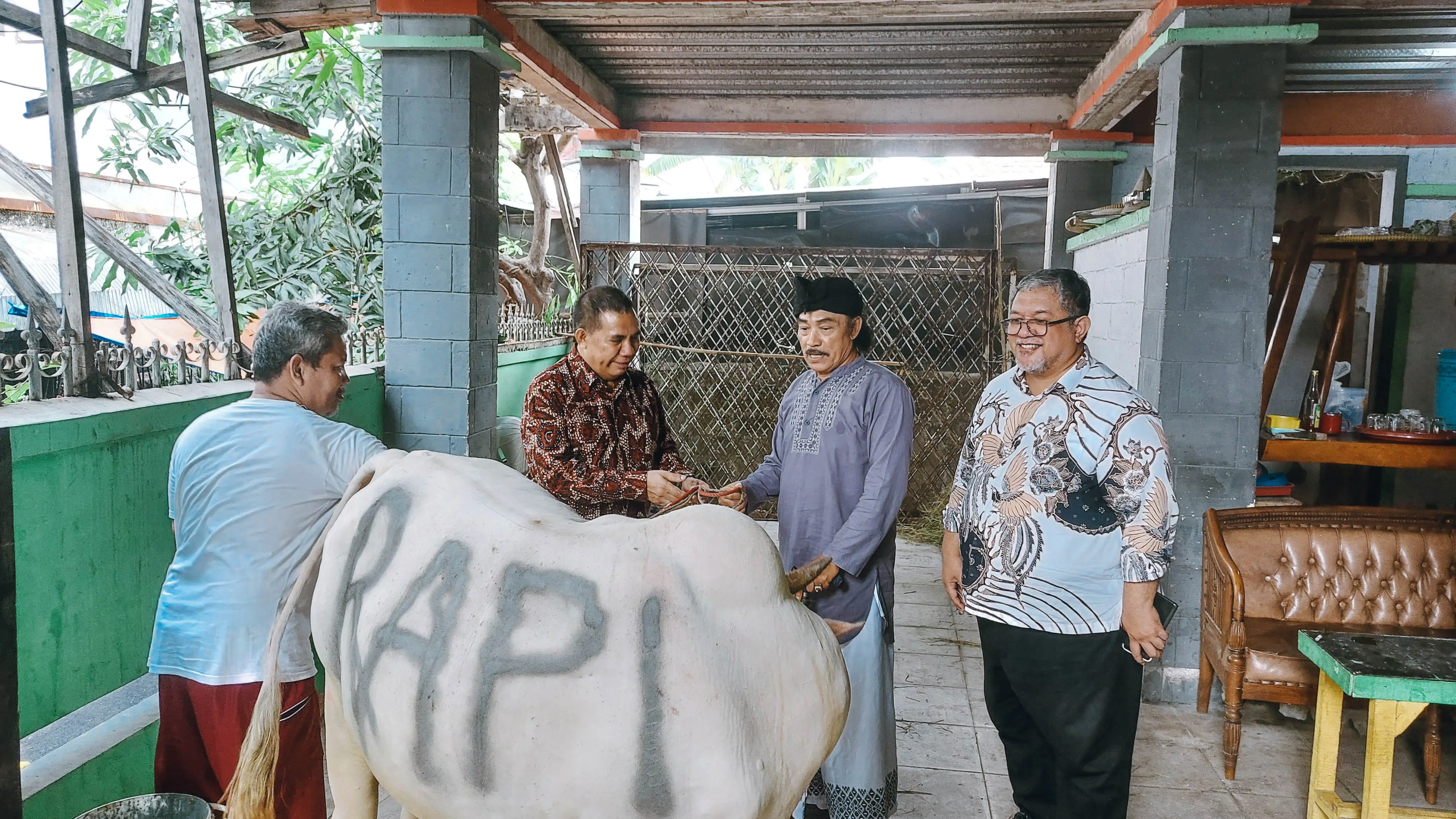 Berita - Relawan Pemimpin Indonesia (RAPI) Salurkan Sapi Kurban ke Pondok Pesantren Abdurrahman Wahid - RAPI | Relawan Pemimpin Indonesia - RAPI | Relawan Pemimpin Indonesia